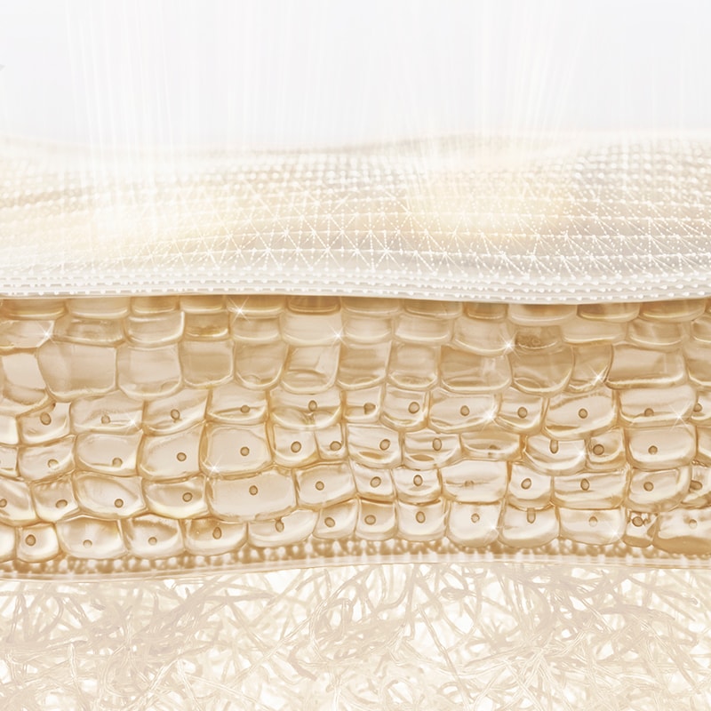 <p style="text-align: center;font-size:25px;line-height:28px;"><strong>STRATUM GRANULOSUM</strong></p>
<p style="text-align: center;font-size:18px;line-height:28px">Stratum Granulosum’da bulunan CLDN1 proteini, cildin genç görünümünü sağlayan nem seviyelerini yenilemeye yardımcı olmak için desteklenir.
</p>